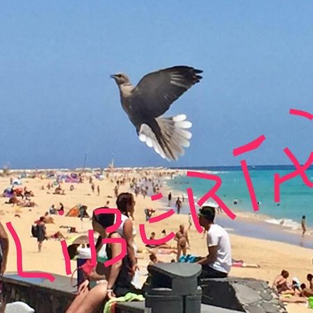 קוסטה קלמה Il Paradiso Esiste מראה חיצוני תמונה